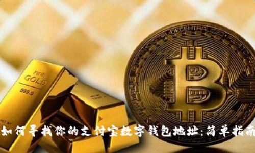 如何寻找你的支付宝数字钱包地址：简单指南
