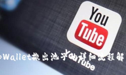 tpWallet撤出池子的详细流程解析