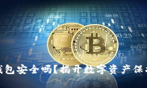 加密货币的钱包安全吗？揭开数字资产保护的神秘面纱