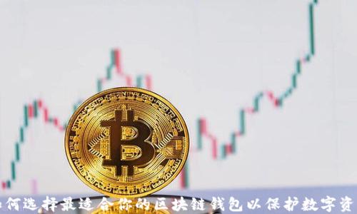 
如何选择最适合你的区块链钱包以保护数字资产