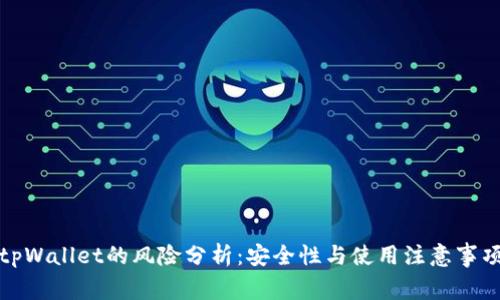tpWallet的风险分析：安全性与使用注意事项