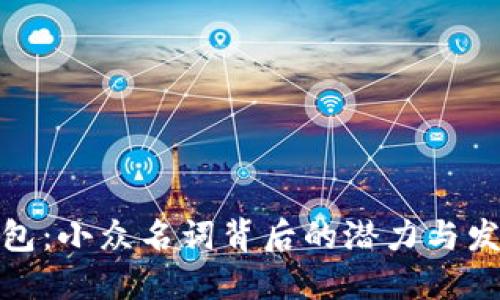 数字钱包：小众名词背后的潜力与发展趋势
