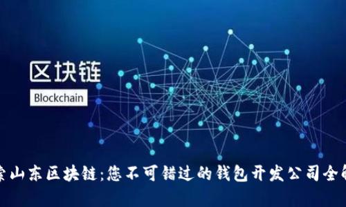 探索山东区块链：您不可错过的钱包开发公司全解析