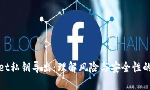 tpWallet私钥导出：理解风险与安全性的重要性