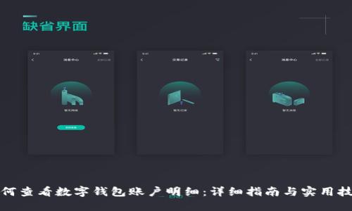 如何查看数字钱包账户明细：详细指南与实用技巧