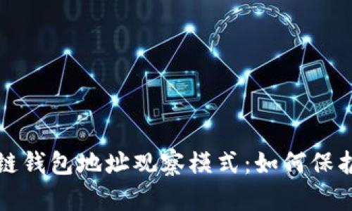 深度解析区块链钱包地址观察模式：如何保护你的资产安全