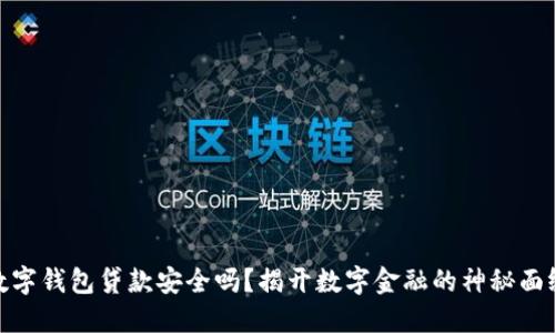 数字钱包贷款安全吗？揭开数字金融的神秘面纱
