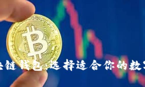 探索最大的区块链钱包：选择适合你的数字资产管理方案
