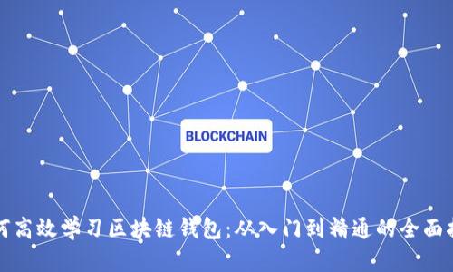 如何高效学习区块链钱包：从入门到精通的全面指南