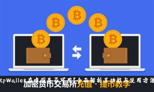 tpWallet在中国是否可用？全面解析其功能与使用方法