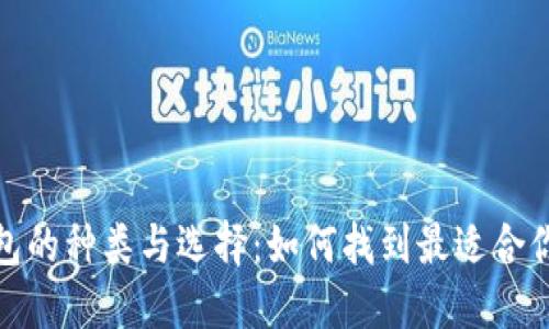 数字货币钱包的种类与选择：如何找到最适合你的数字钱包