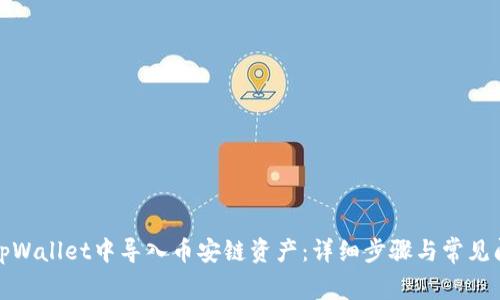 如何在tpWallet中导入币安链资产：详细步骤与常见问题解答