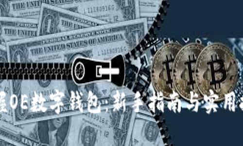 掌握OE数字钱包：新手指南与实用技巧