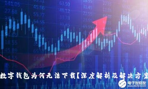 数字钱包为何无法下载？深度解析及解决方案