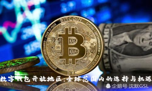 数字钱包开放地区：全球范围内的选择与机遇