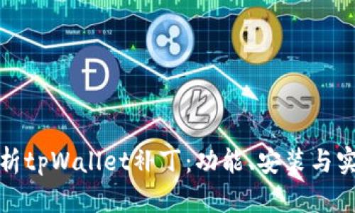 全面解析tpWallet补丁：功能、安装与实用技巧