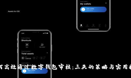 如何高效通过数字钱包审核：三天的策略与实用技巧
