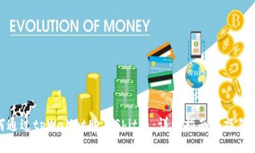 如何通过tpWallet购买Shit币：详细指南与操作步骤