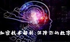 数字钱包加密技术解析：保障你的数字资产安全