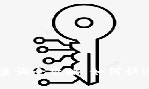 TP钱包区块链交易ID查询全攻略：如何快速查找和跟踪交易记录