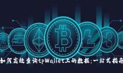 如何高效查询tpWallet上的数据：一站式指南