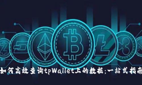 如何高效查询tpWallet上的数据：一站式指南